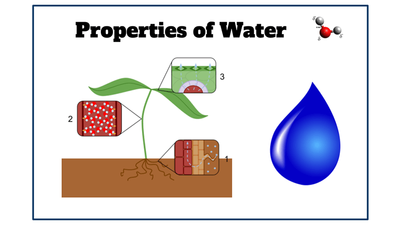 Investigation:  Properties of Water with Lab Stations