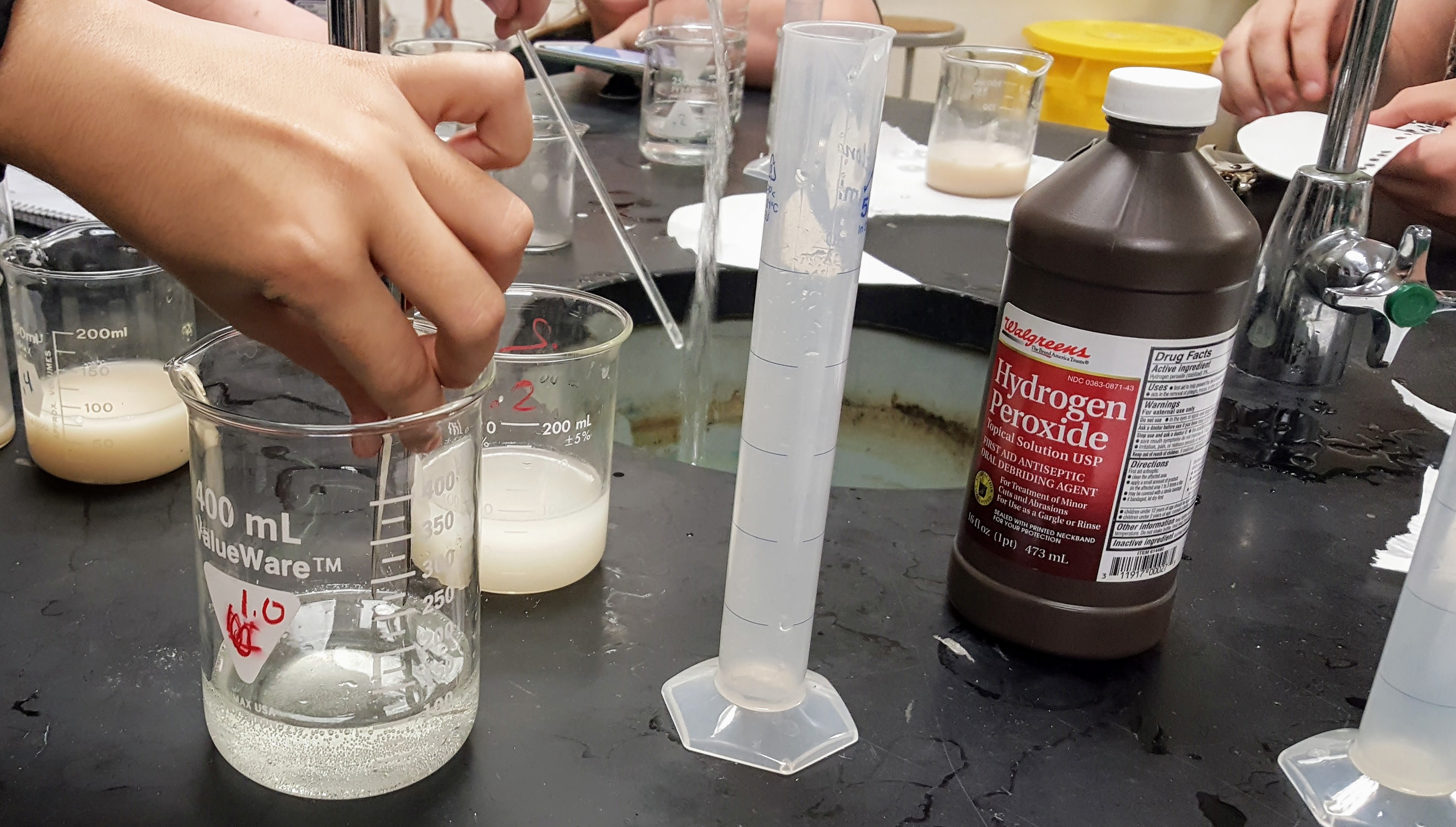 hydrogen peroxide concentration catalase experiment